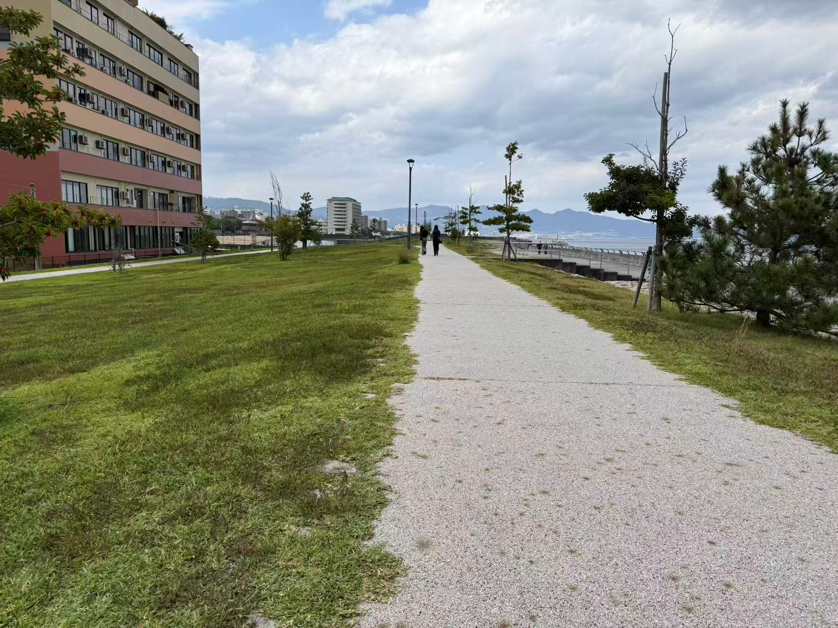 image-20251102212522976